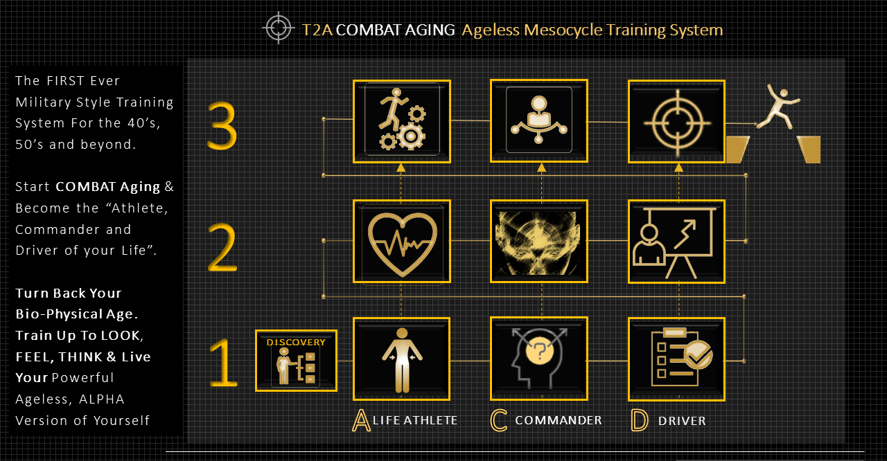2020 combat aging system